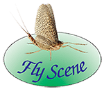 logo fly scene